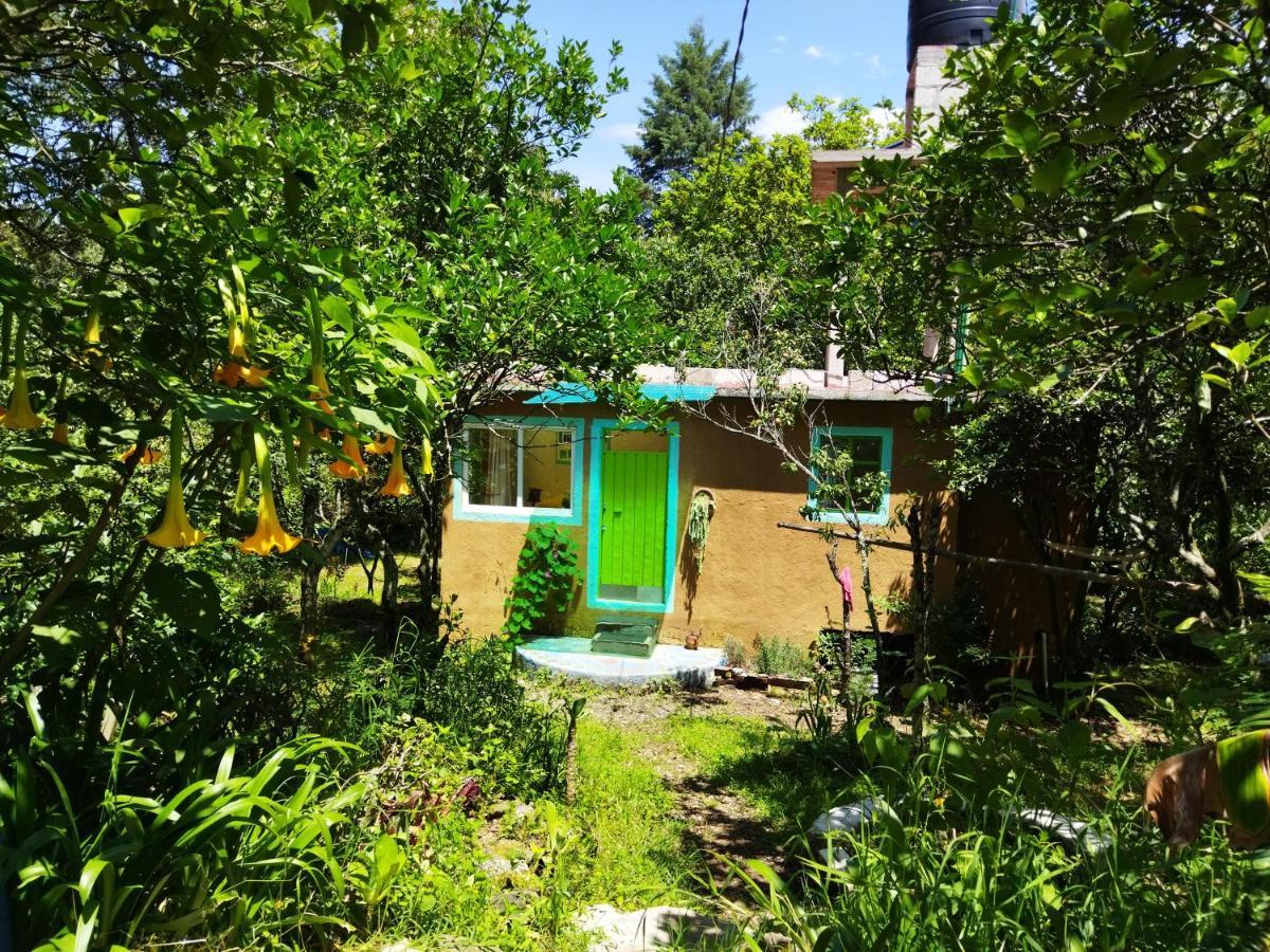 Casa Ecologica Apartment Tepoztlan Luaran gambar