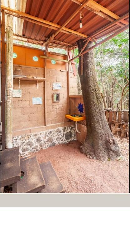 Casa Ecologica Apartment Tepoztlan Luaran gambar